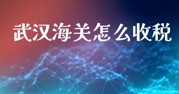 武汉海关怎么收税_https://m.fansifence.com_公募基金_第1张