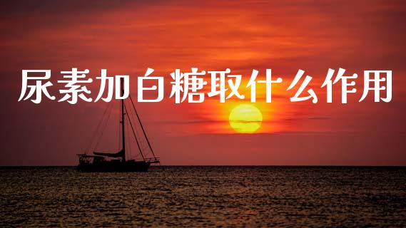 尿素加白糖取什么作用_https://m.fansifence.com_公募基金_第1张
