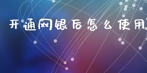 开通网银后怎么使用_https://m.fansifence.com_公募基金_第1张