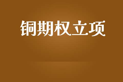 铜期权立项_https://m.fansifence.com_消费金融_第1张