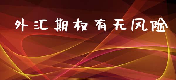 外汇期权有无风险_https://m.fansifence.com_公募基金_第1张