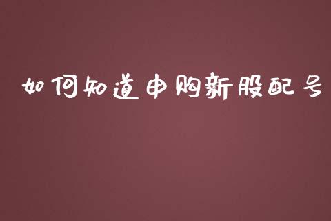 如何知道申购新股配号_https://m.fansifence.com_消费金融_第1张