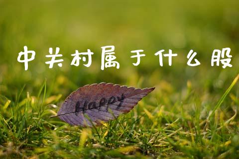 中关村属于什么股_https://m.fansifence.com_公募基金_第1张