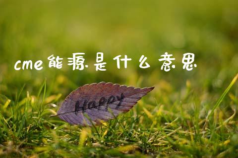 cme能源是什么意思_https://m.fansifence.com_贵金属行情_第1张