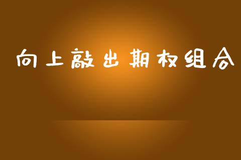 向上敲出期权组合_https://m.fansifence.com_贵金属行情_第1张