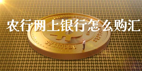 农行网上银行怎么购汇_https://m.fansifence.com_贵金属行情_第1张