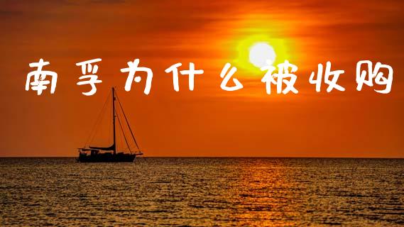 南孚为什么被收购_https://m.fansifence.com_贵金属行情_第1张