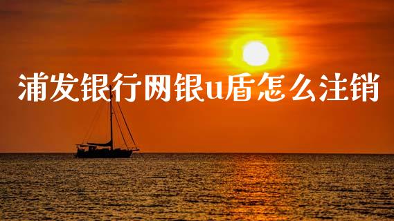 浦发银行网银u盾怎么注销_https://m.fansifence.com_消费金融_第1张