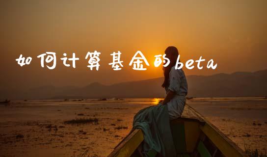 如何计算基金的beta_https://m.fansifence.com_个股行情_第1张
