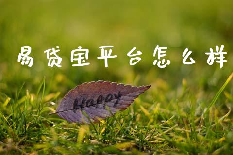 易贷宝平台怎么样_https://m.fansifence.com_公募基金_第1张