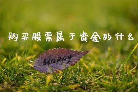 购买股票属于资金的什么_https://m.fansifence.com_消费金融_第1张