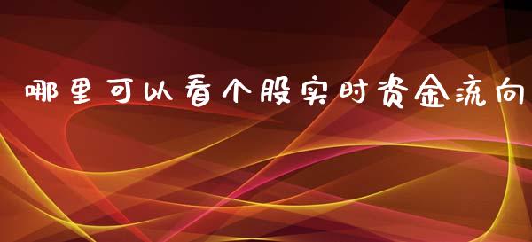 哪里可以看个股实时资金流向_https://m.fansifence.com_个股行情_第1张