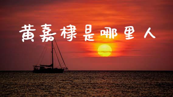 黄嘉棣是哪里人_https://m.fansifence.com_个股行情_第1张