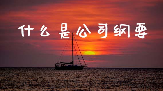 什么是公司纲要_https://m.fansifence.com_公募基金_第1张