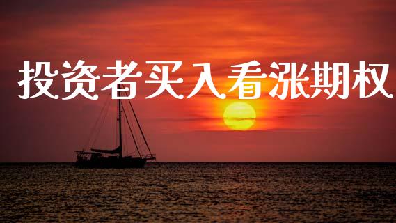 投资者买入看涨期权_https://m.fansifence.com_个股行情_第1张