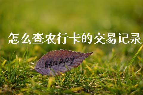 怎么查农行卡的交易记录_https://m.fansifence.com_公募基金_第1张