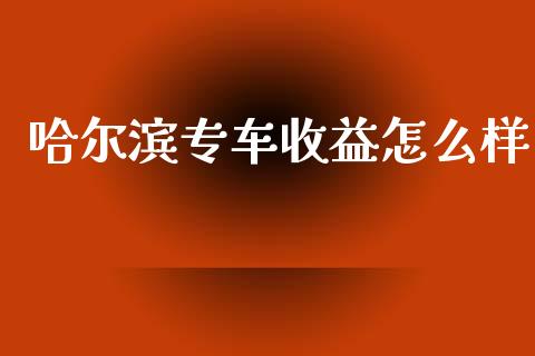 哈尔滨专车收益怎么样_https://m.fansifence.com_个股行情_第1张
