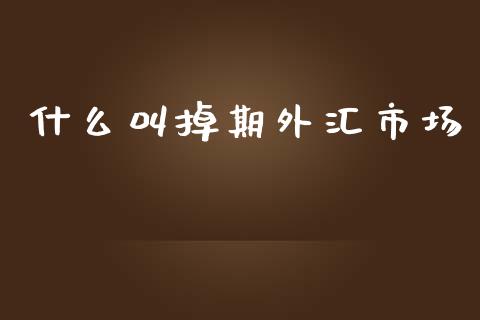 什么叫掉期外汇市场_https://m.fansifence.com_公募基金_第1张