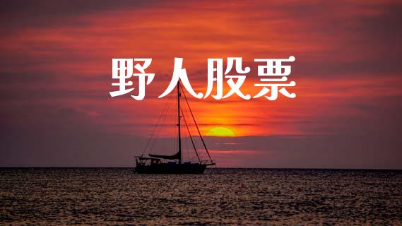 野人股票_https://m.fansifence.com_公募基金_第1张