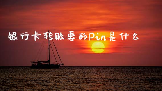 银行卡转账要的Pin是什么_https://m.fansifence.com_贵金属行情_第1张