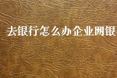 去银行怎么办企业网银_https://m.fansifence.com_消费金融_第1张