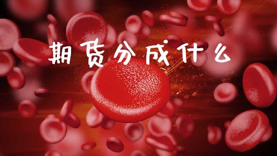 期货分成什么_https://m.fansifence.com_个股行情_第1张