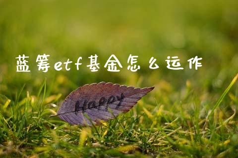 蓝筹etf基金怎么运作_https://m.fansifence.com_个股行情_第1张