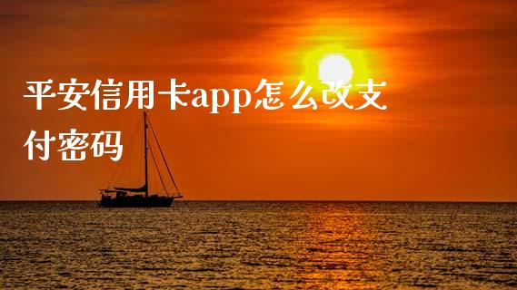 平安信用卡app怎么改支付密码_https://m.fansifence.com_消费金融_第1张