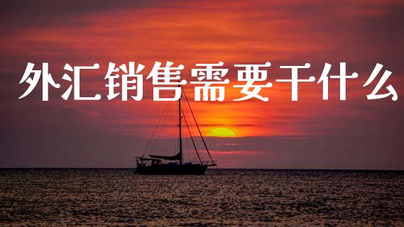 外汇销售需要干什么_https://m.fansifence.com_消费金融_第1张