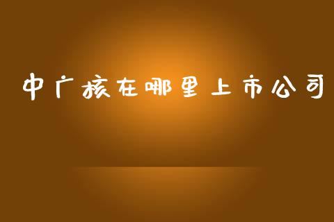 中广核在哪里上市公司_https://m.fansifence.com_贵金属行情_第1张