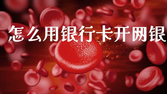 怎么用银行卡开网银_https://m.fansifence.com_贵金属行情_第1张