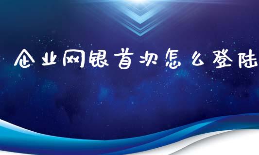 企业网银首次怎么登陆_https://m.fansifence.com_消费金融_第1张