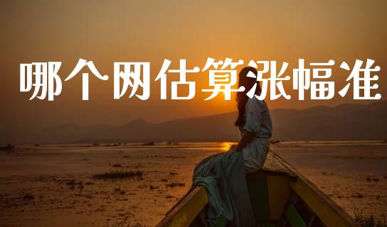 哪个网估算涨幅准_https://m.fansifence.com_个股行情_第1张