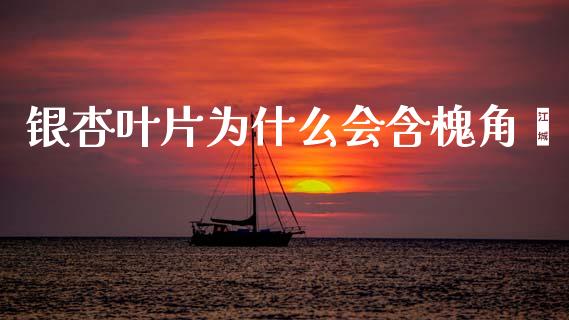 银杏叶片为什么会含槐角苷_https://m.fansifence.com_贵金属行情_第1张