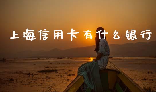 上海信用卡有什么银行_https://m.fansifence.com_个股行情_第1张