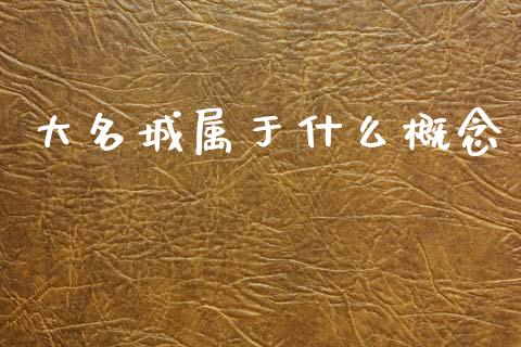 大名城属于什么概念_https://m.fansifence.com_消费金融_第1张