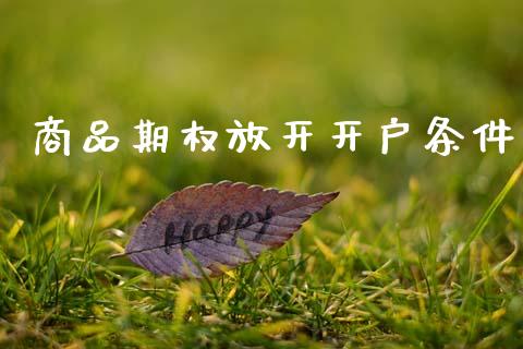 商品期权放开开户条件_https://m.fansifence.com_消费金融_第1张