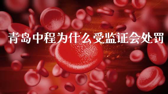 青岛中程为什么受监证会处罚_https://m.fansifence.com_消费金融_第1张
