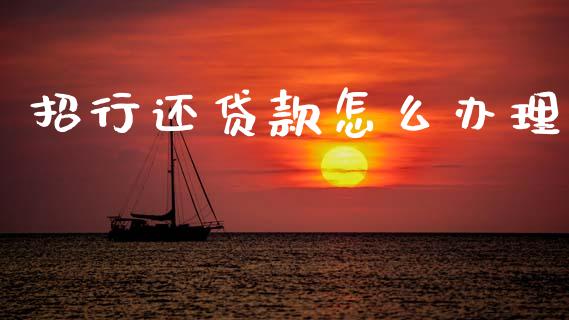 招行还贷款怎么办理_https://m.fansifence.com_个股行情_第1张