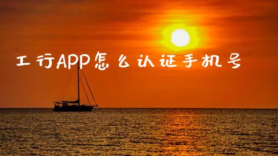 工行APP怎么认证手机号_https://m.fansifence.com_贵金属行情_第1张