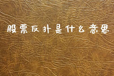股票反扑是什么意思_https://m.fansifence.com_贵金属行情_第1张