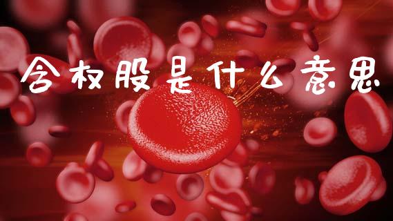 含权股是什么意思_https://m.fansifence.com_公募基金_第1张