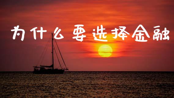 为什么要选择金融_https://m.fansifence.com_消费金融_第1张
