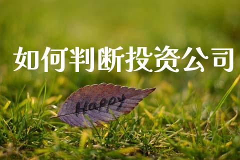 如何判断投资公司_https://m.fansifence.com_贵金属行情_第1张