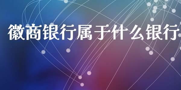 徽商银行属于什么银行_https://m.fansifence.com_消费金融_第1张