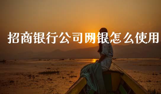 招商银行公司网银怎么使用_https://m.fansifence.com_消费金融_第1张