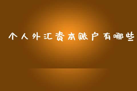 个人外汇资本账户有哪些_https://m.fansifence.com_公募基金_第1张