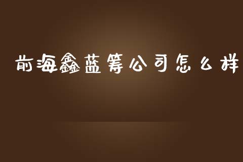 前海鑫蓝筹公司怎么样_https://m.fansifence.com_消费金融_第1张