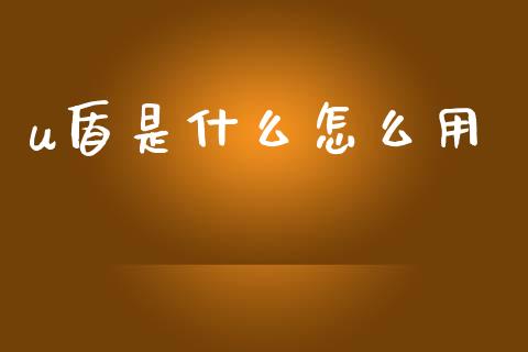 u盾是什么怎么用_https://m.fansifence.com_贵金属行情_第1张