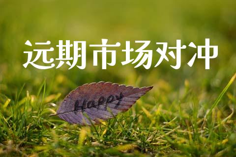 远期市场对冲_https://m.fansifence.com_公募基金_第1张